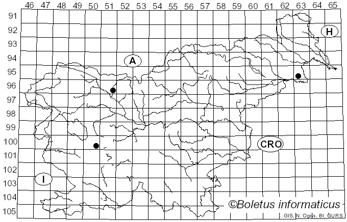 <i>Glonium</i> Muhl. ex Fr. (1823)