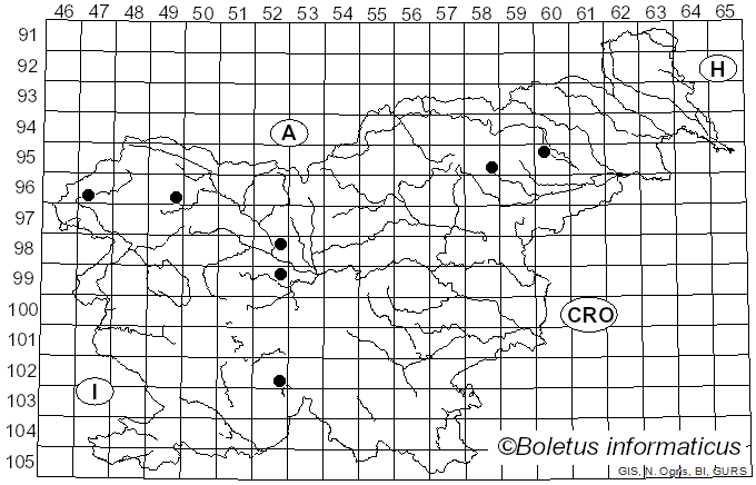 <i>Spinellus fusiger</i> (Link) Tiegh. (1875)