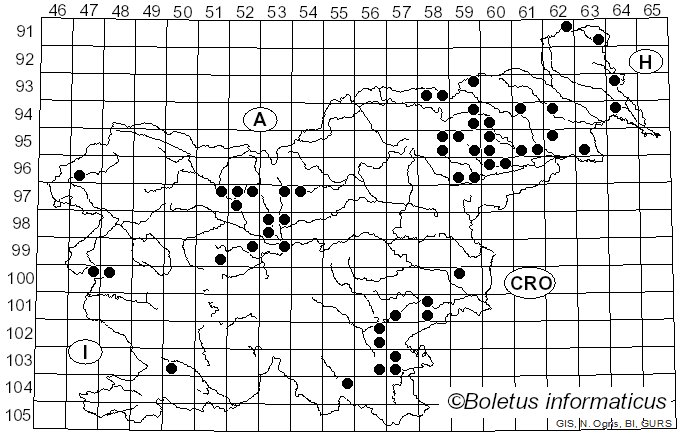 <i>Hortiboletus rubellus</i> (Krombh.) Simonini, Vizzini & Gelardi (2015)