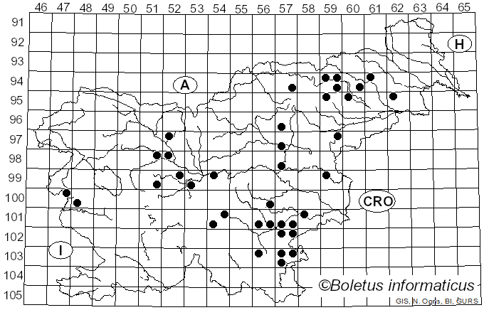 <i>Inosperma adaequatum</i> (Britzelm.) Matheny & Esteve-Rav. (2019)