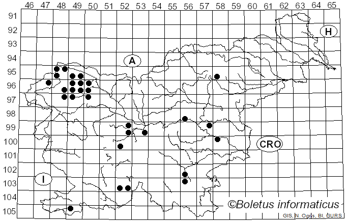 <i>Cladonia furcata</i> subsp. <i>furcata</i> (Huds.) Schrad. (1794)