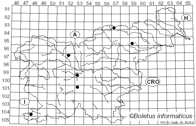 <i>Cortinarius sordescens</i> Rob. Henry (1944)