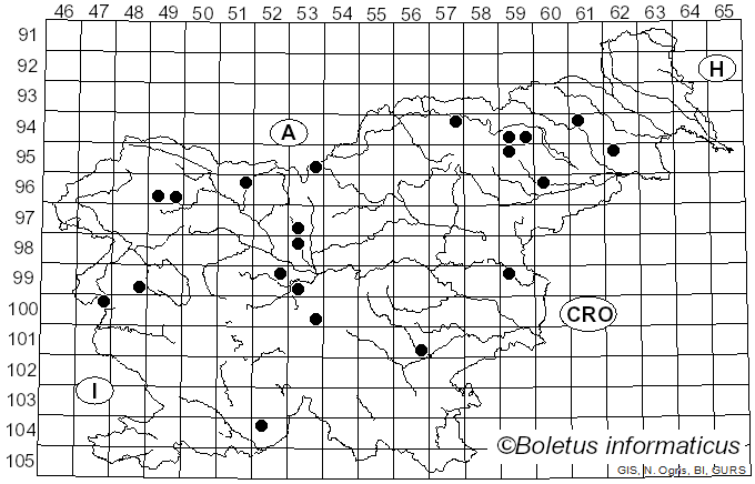 <i>Pholiota spumosa</i> (Fr.) Singer (1948)
