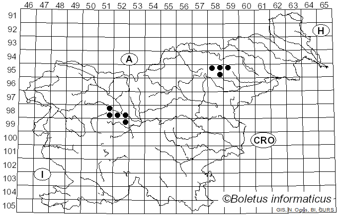 <i>Vibrissea truncorum</i> (Alb. & Schwein.) Fr. (1822)