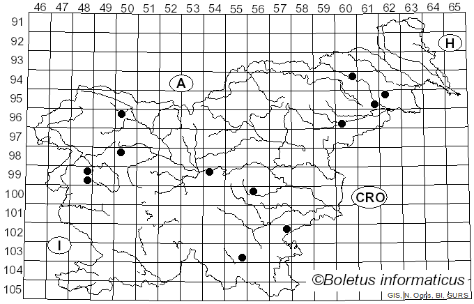 <i>Jackrogersella cohaerens</i> (Pers.) L. Wendt, Kuhnert & M. Stadler (2017)