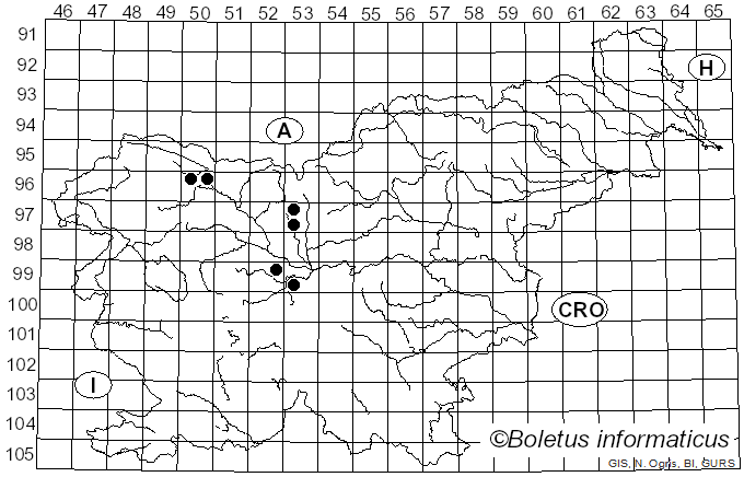 <i>Rhytisma punctatum</i> (Pers.) Fr. (1823)