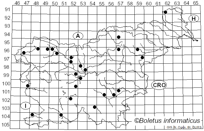 <i>Hypomyces lateritius</i> (Fr.) Tul. & C. Tul. (1860)