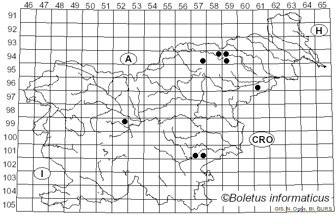<i>Cantharellus romagnesianus</i> Eyssart. & Buyck (1999)