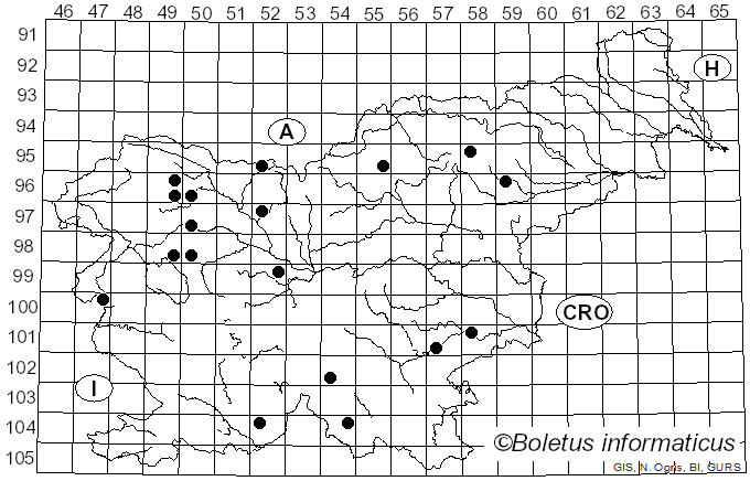 <i>Mallocybe terrigena</i> (Fr.) Matheny, Vizzini & Esteve-Rav. (2019)