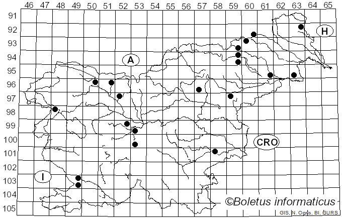 <i>Hyphodontia quercina</i> (Pers.) J. Erikss. (1958)