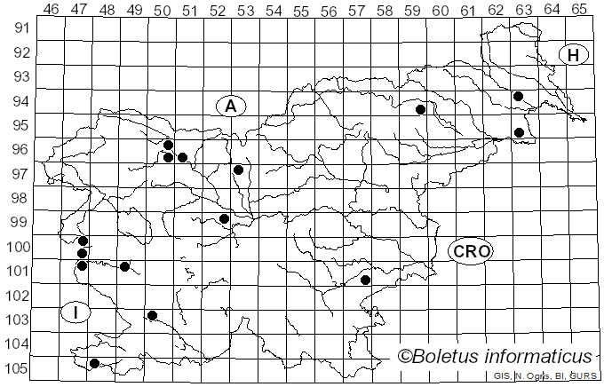 <i>Lachnella</i> Fr. (1836)