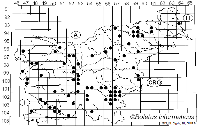 <i>Inocybe corydalina</i> Quél. (1875)