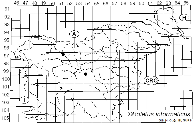 <i>Acladium</i> Link (1809)