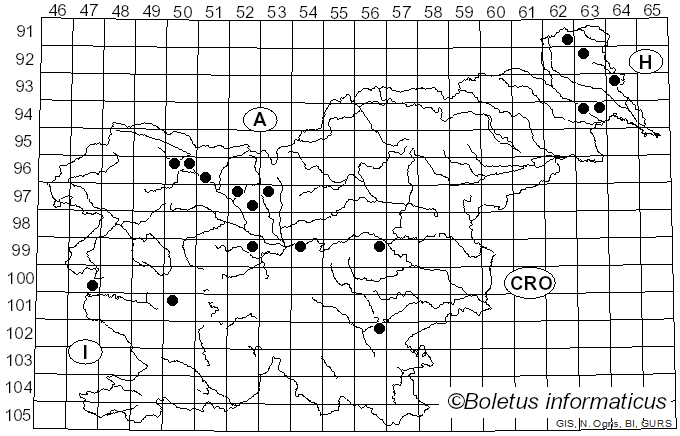 <i>Colpoma quercinum</i> (Pers.) Wallr. (1823)