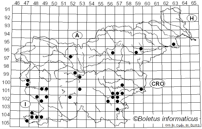 <i>Cyclocybe cylindracea</i> (DC.) Vizzini & Angelini (2014)