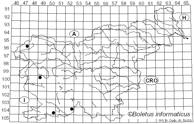 <i>Protoblastenia</i> (Zahlbr.) J. Steiner (1911)