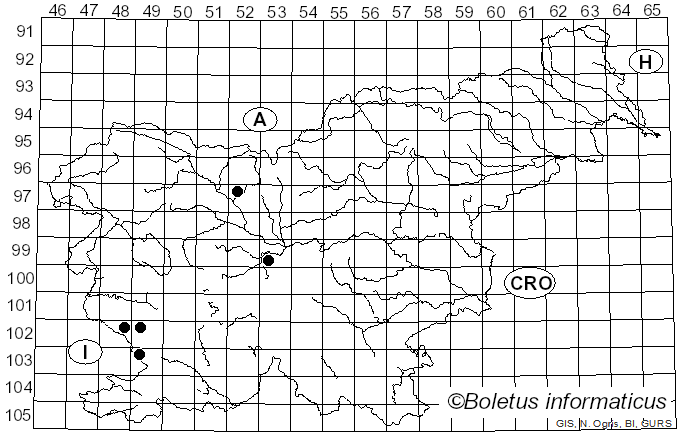 <i>Suillus leptopus</i> A. Marchand (1971)