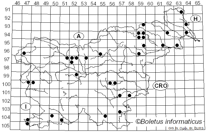 <i>Hortiboletus</i> Simonini, Vizzini & Gelardi (2015)
