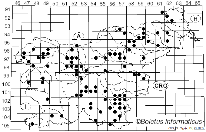 <i>Galerina marginata</i> (Batsch) Kühner (1935)