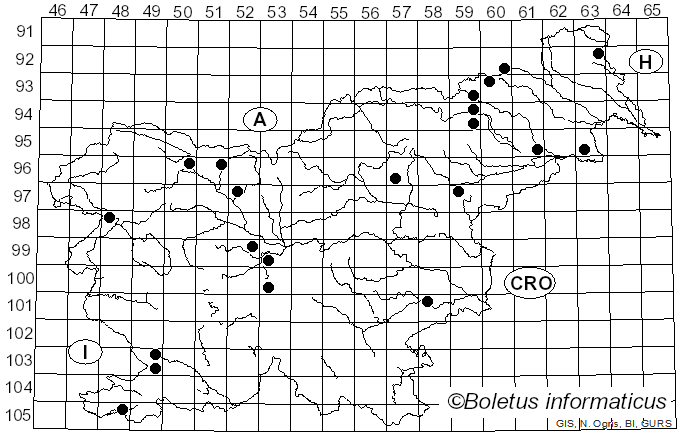 <i>Hyphodontia quercina</i> (Pers.) J. Erikss. (1958)