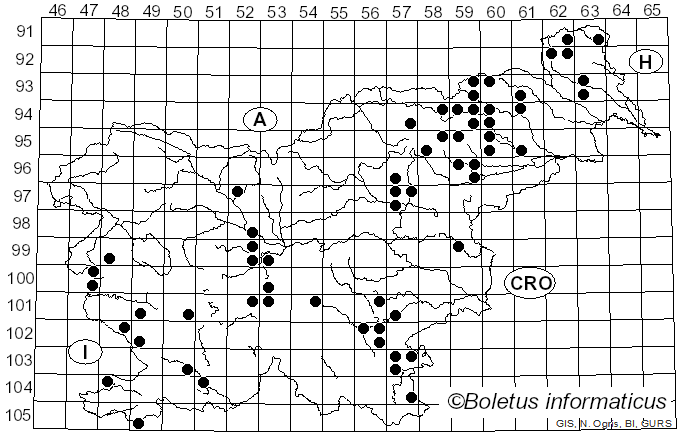 <i>Agaricus xanthodermus</i> Genev. (1876)