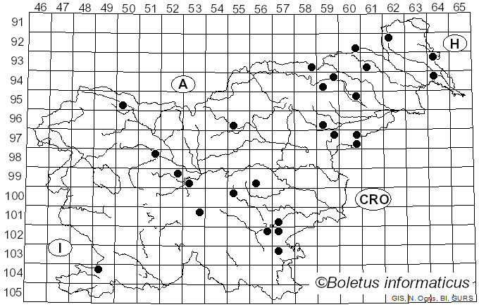 <i>Coriolopsis gallica</i> (Fr.) Ryvarden (1973)