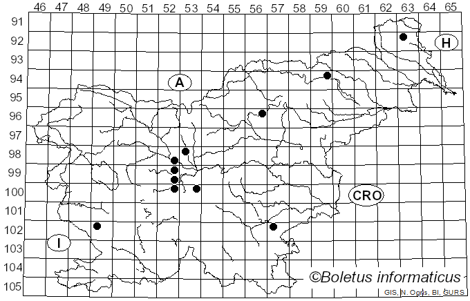 <i>Helvella crispa</i> var. <i>pallescens</i> Schaeff. (1774)
