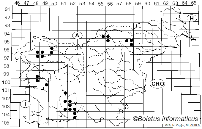 <i>Lecanora saligna</i> (Schrad.) Zahlbr. (1928)
