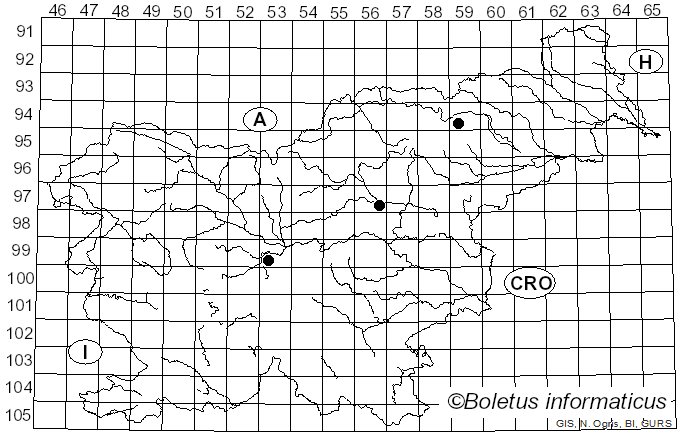 <i>Neottiella rutilans</i> (Fr.) Dennis (1960)