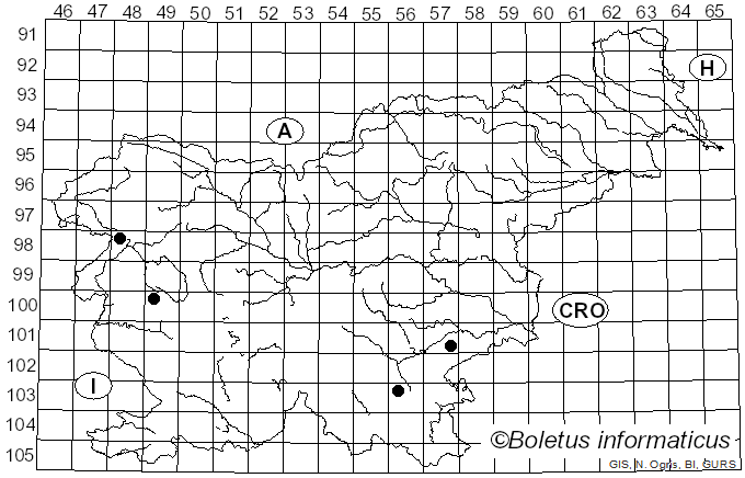 <i>Hermanssonia centrifuga</i> (P. Karst.) Zmitr. (2018)