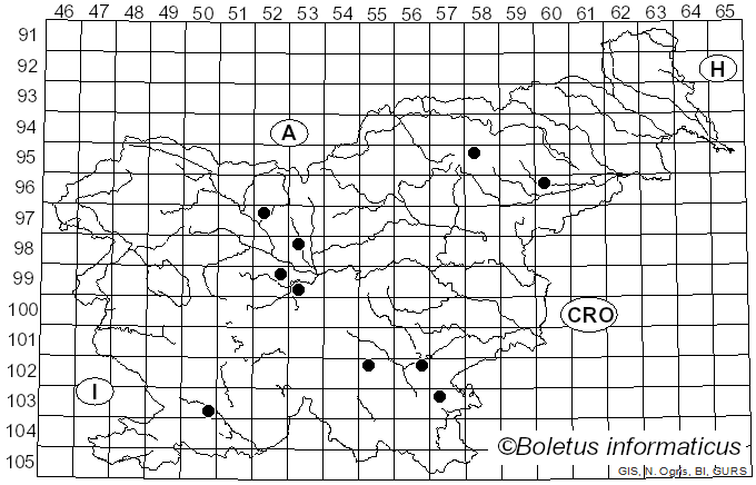 <i>Podoscypha multizonata</i> (Berk. & Broome) Pat. (1928)