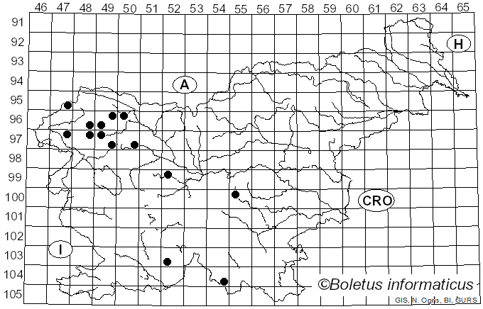 <i>Dermatocarpon</i> Eschw. (1824)