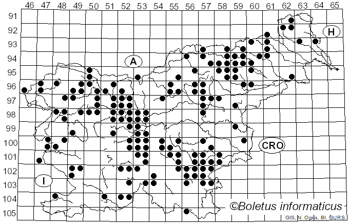 <i>Cystoderma</i> Fayod (1889)