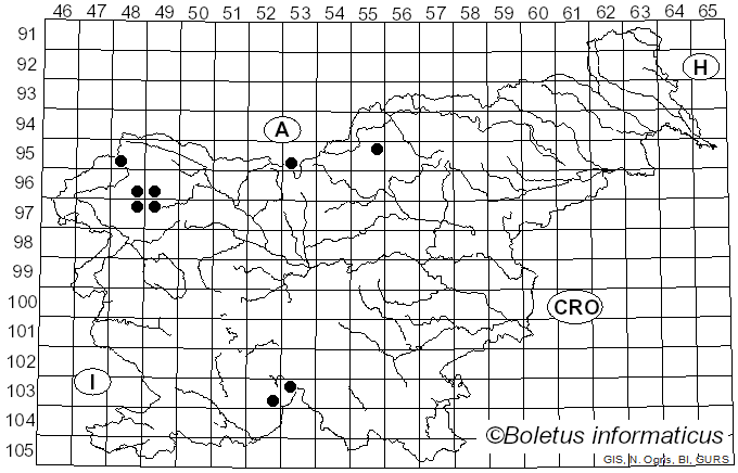 <i>Leptogium saturninum</i> (Dicks.) Nyl. (1856)