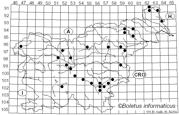 <i>Pluteus nanus</i> (Pers.) P. Kumm. (1929)