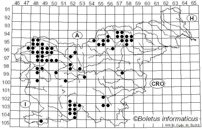 <i>Usnea</i> Dill. ex Adans. (1763)