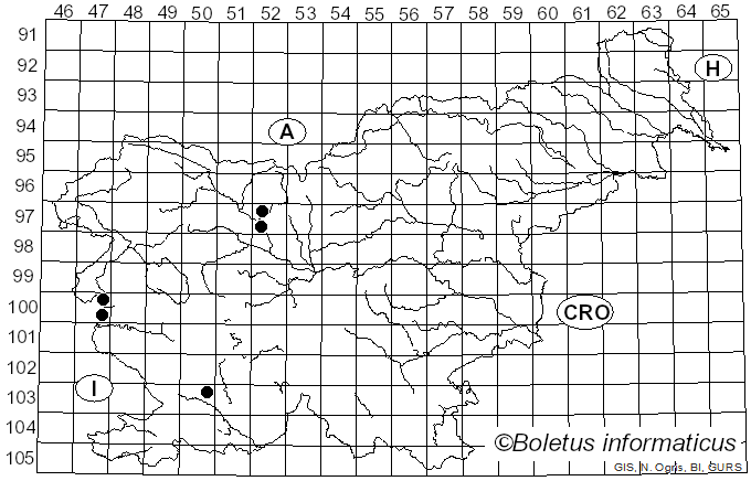 <i>Agaricus xantholepis</i> (F.H. Møller) F.H. Møller (1952)