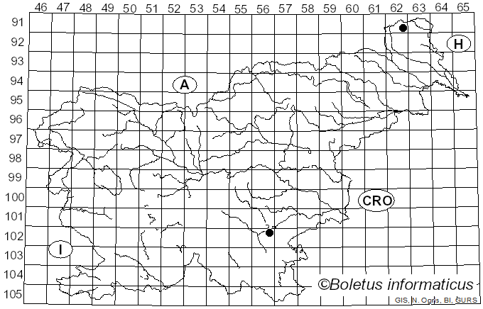 <i>Peniophora rufa</i> (Fr.) Boidin (1958)