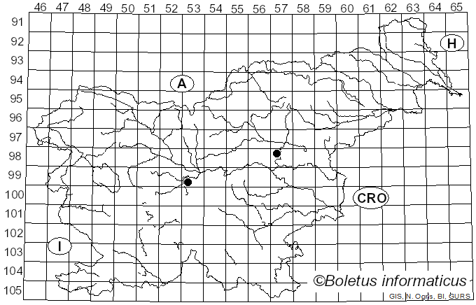 <i>Cladosporium paeoniae</i> var. <i>paeoniae</i> Pass. (1876)