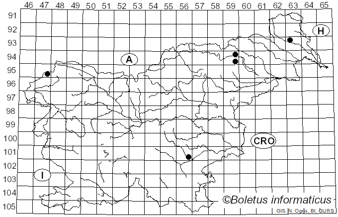 <i>Cortinarius variicolor</i> var. <i>largiusculus</i> (Britzelm.) M.M. Moser (1967)