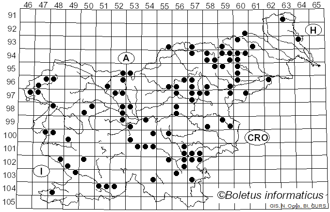 <i>Geastrum triplex</i> Jungh. (1840)