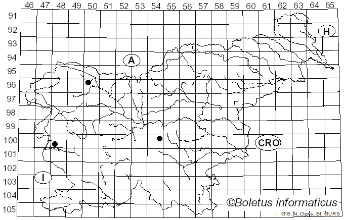 <i>Calyptella campanula</i> (Nees) W.B. Cooke (1961)