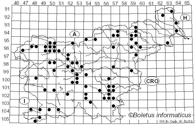 <i>Hypomyces</i> (Fr.) Tul. (1860)