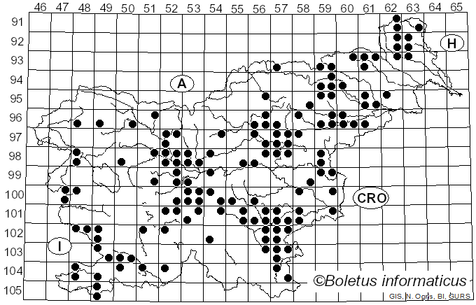 <i>Amanita caesarea</i> (Scop.) Pers.