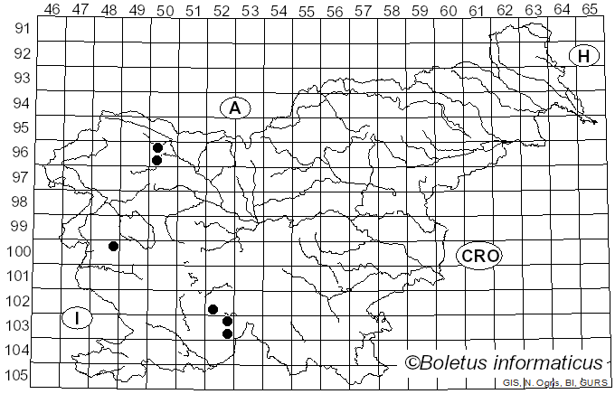 <i>Opegrapha niveoatra</i> (Borrer) J.R. Laundon (1963)