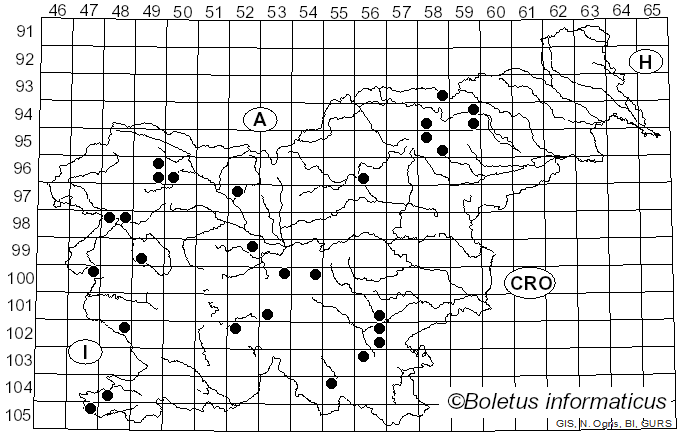 <i>Cortinarius salor</i> Fr.