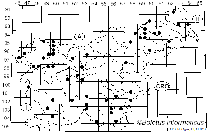 <i>Stereum rugosum</i> Pers. (1794)