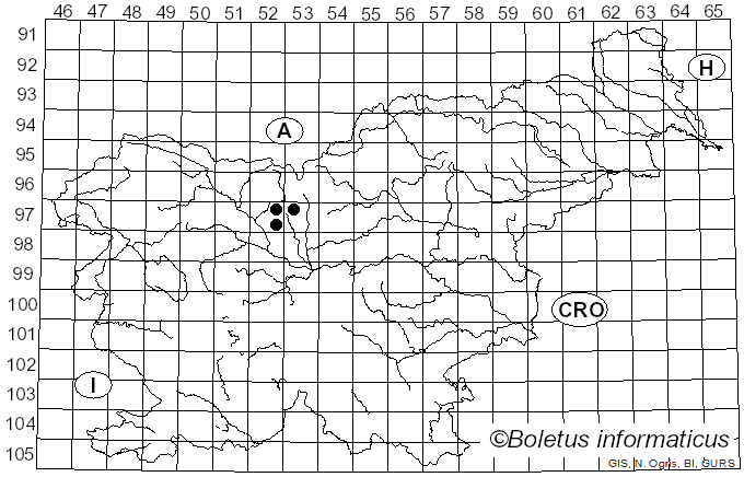 <i>Puccinia acetosa</i> Körn. (1876)