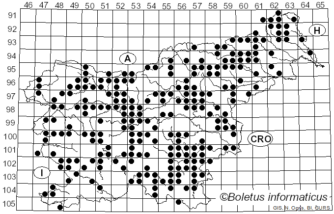 <i>Mycena pura</i> (Pers.) Sacc. (1871)