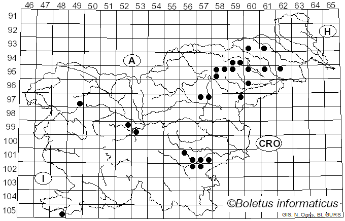 <i>Russula anatina</i> Romagn. (1967)